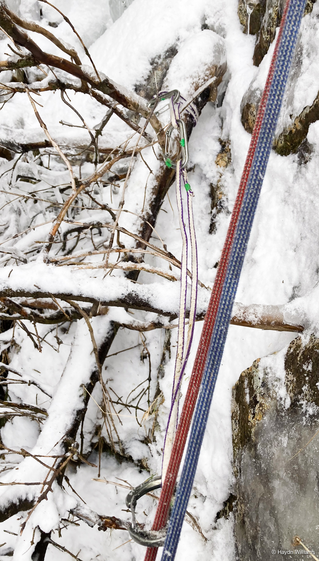 A climbing sling looped around a dead tree and connected to a rope. © Haydn Williams 2025